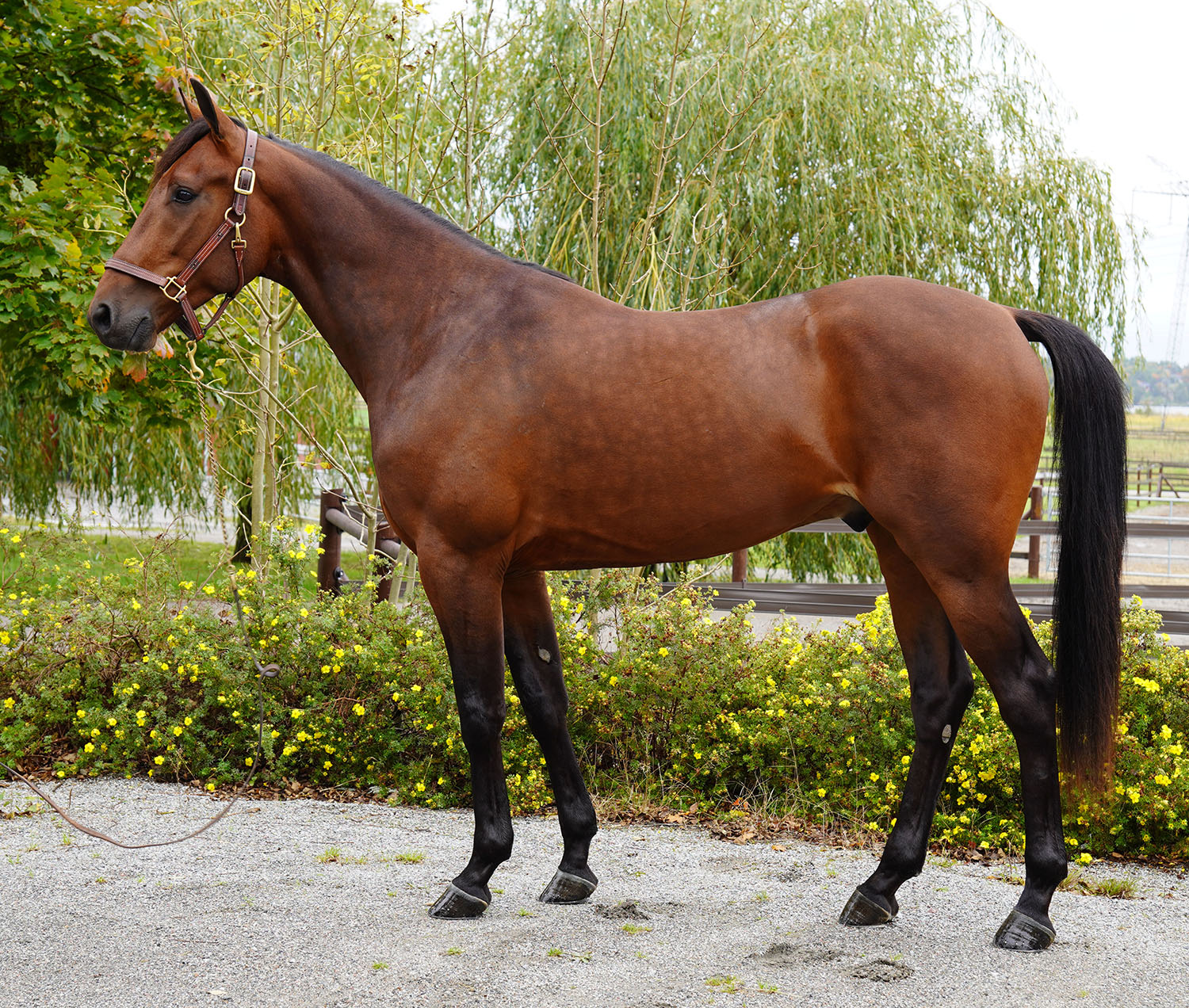 Hell of a Guy 251008-19